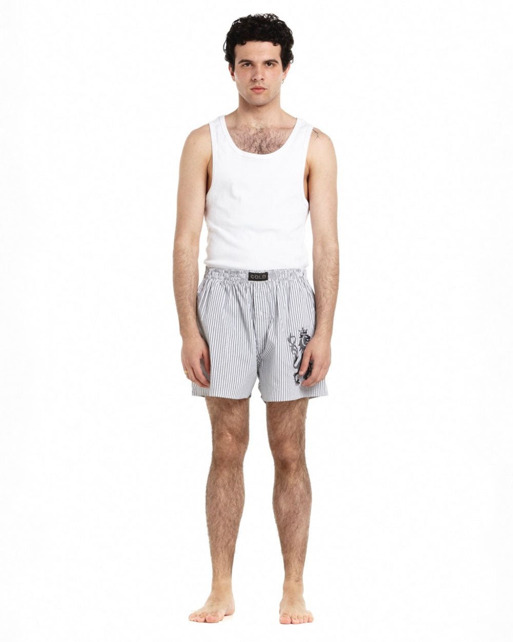 COMPANION LION BOXER STRIPED DARK GREY - Cold Culture