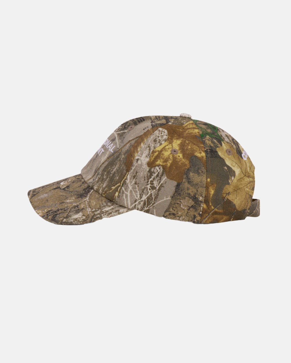 INTERNATIONAL CAP REALTREE