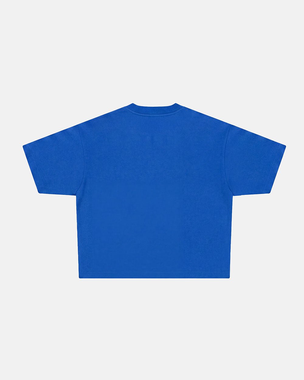 OOPS! TEE BLUE - blue graphic print tee, back view - Cold Culture