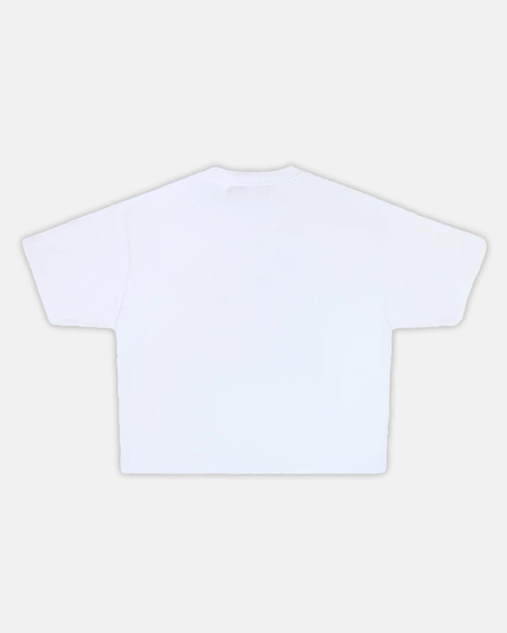 SPIDER TEE WHITE - COLD CULTURE