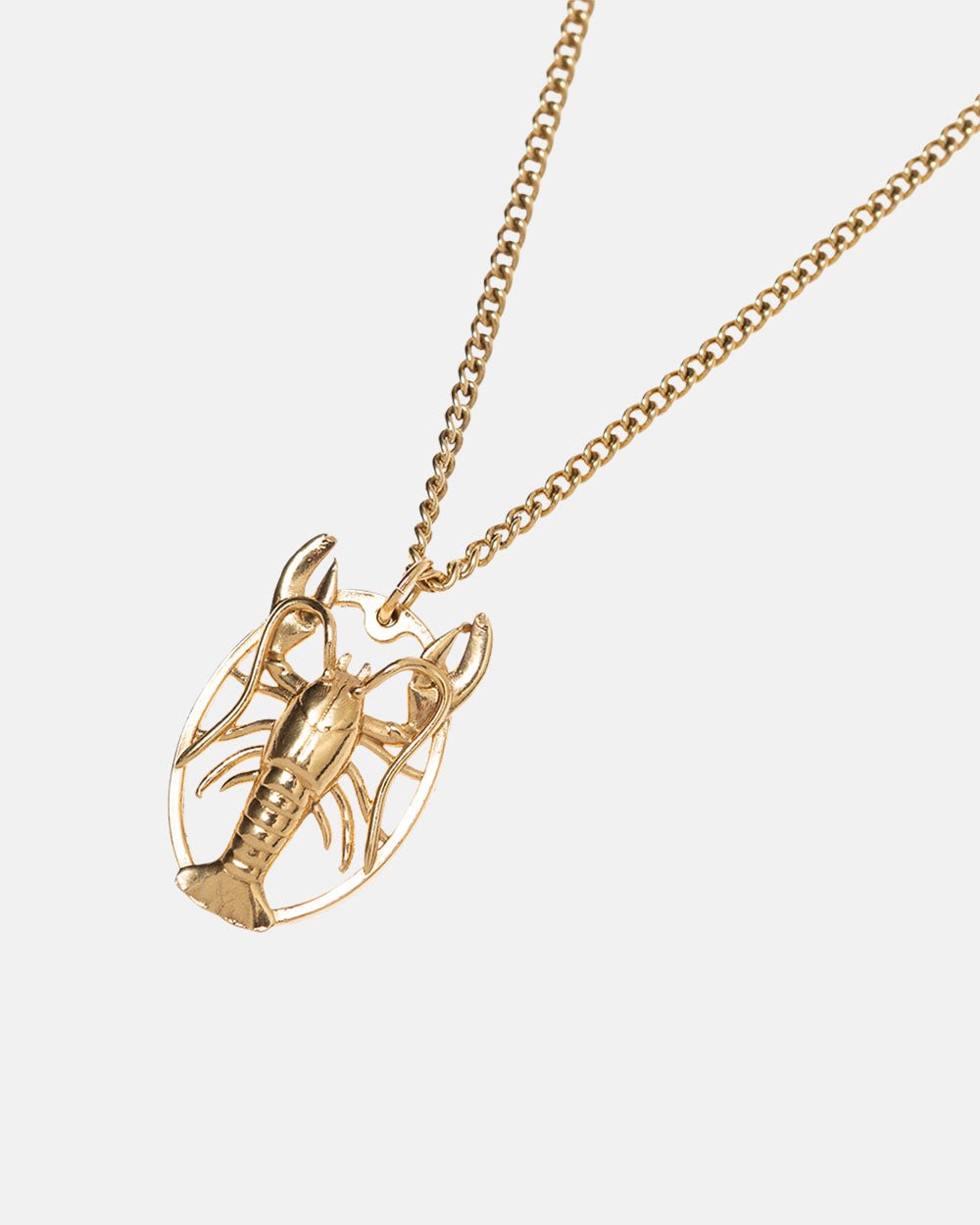 THE GOLDEN LOBSTER NECKLACE - Cold Culture