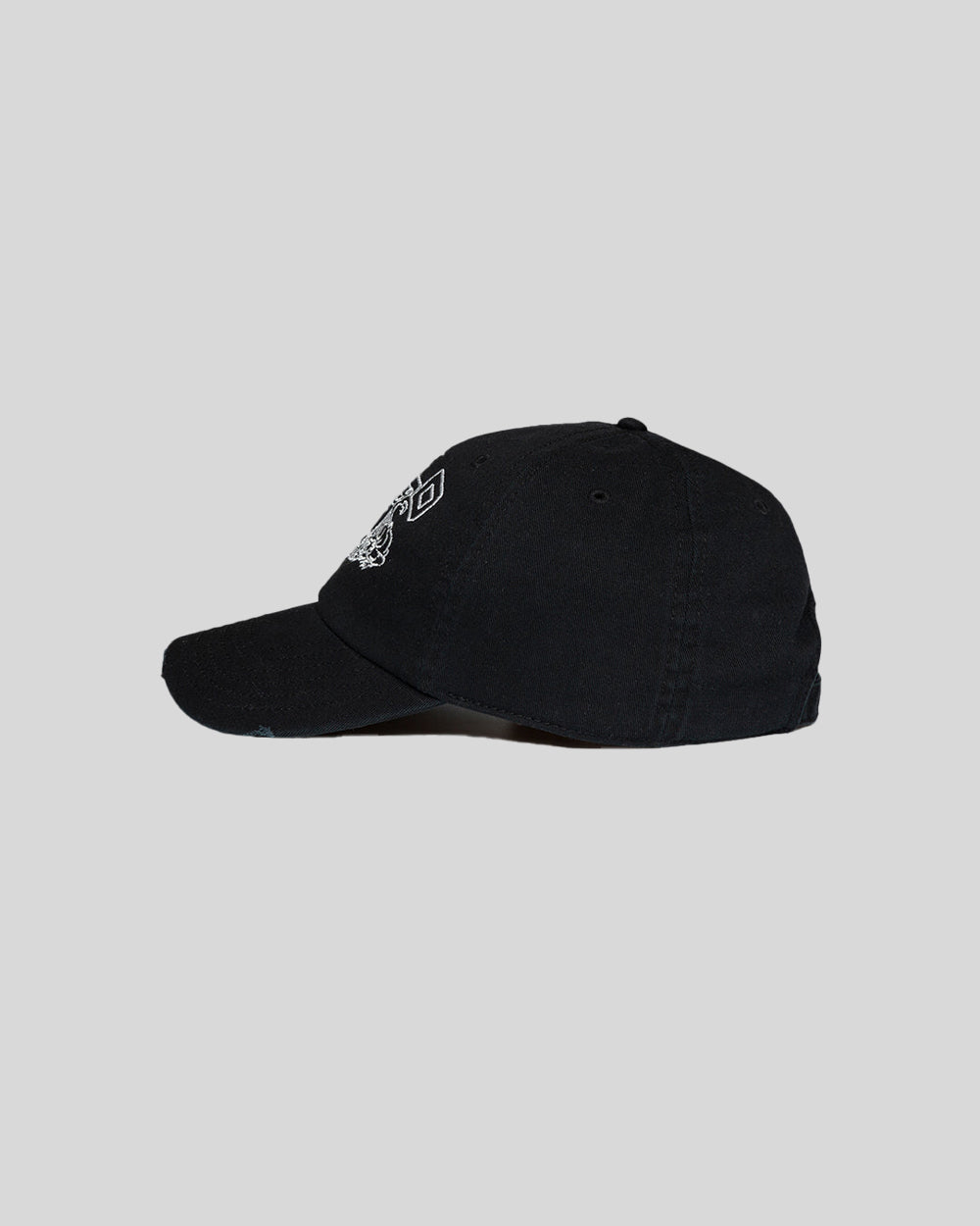 panthers-cap-black2.jpg