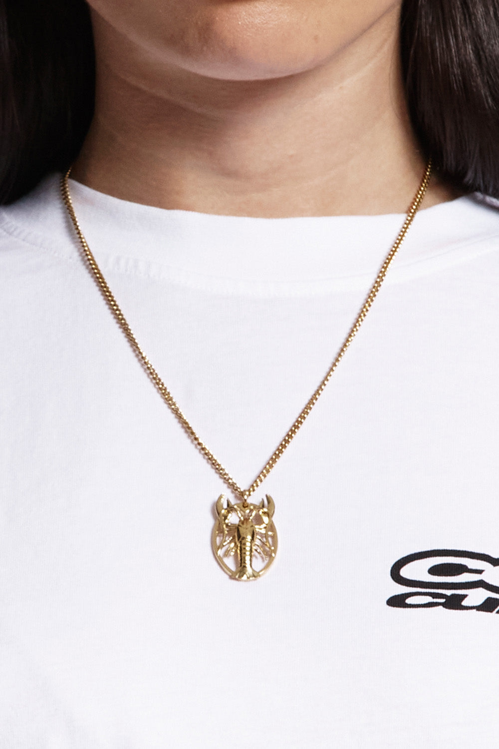 THE GOLDEN LOBSTER NECKLACE