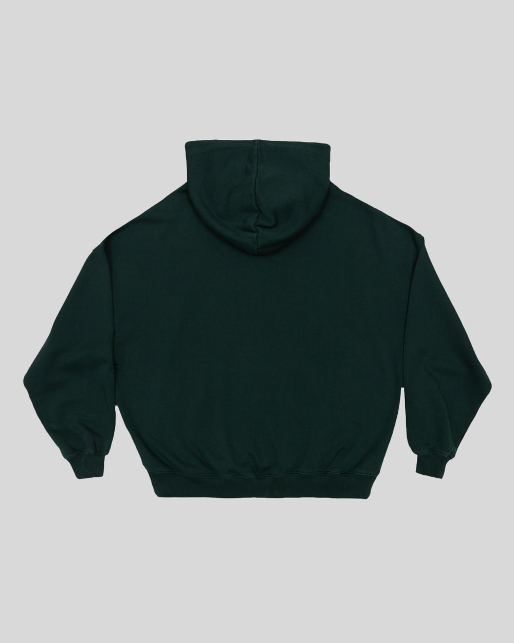 italic-stars-hoodie-evergreen2.jpg