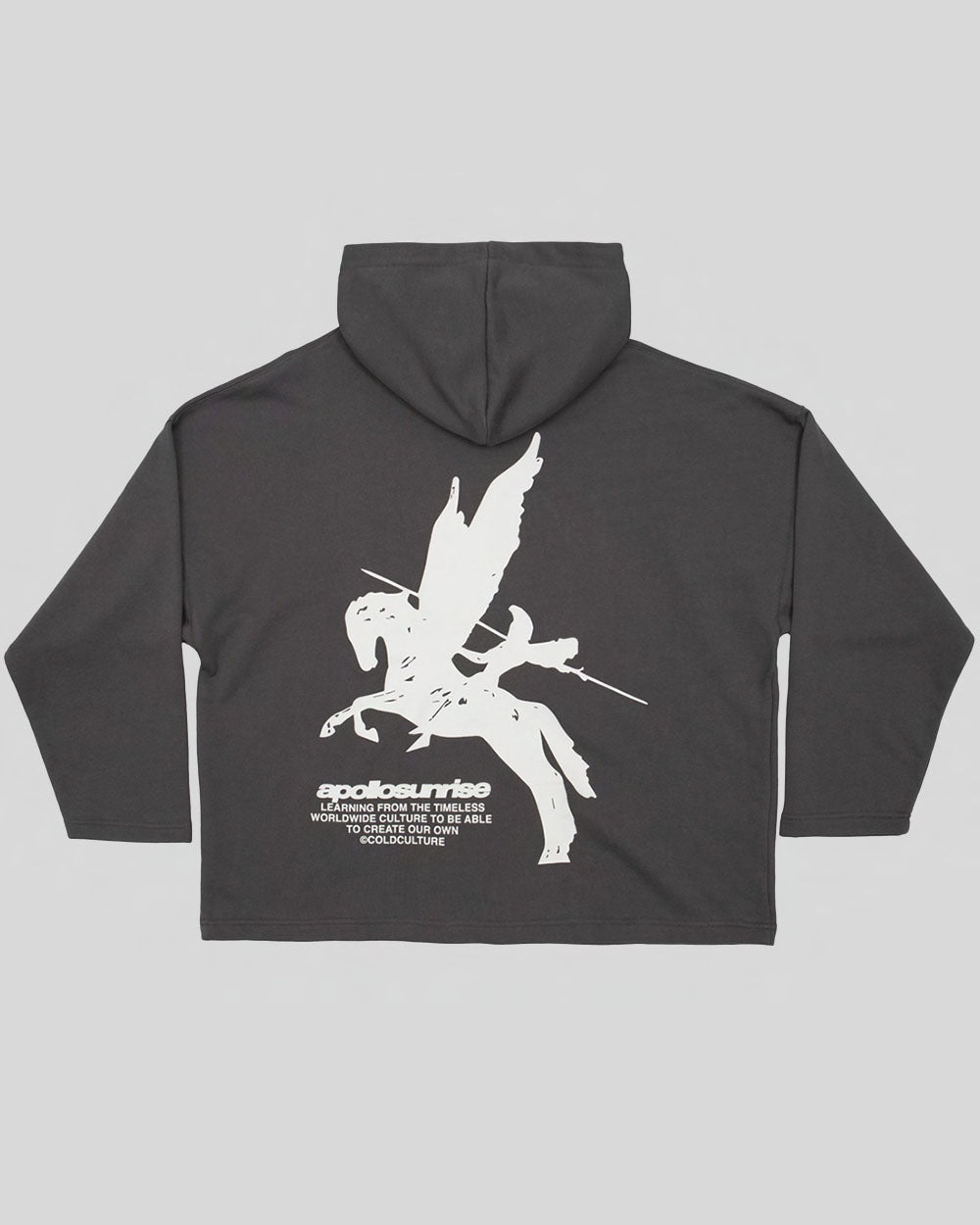 pegaso-hoodie-dark-grey1.jpg