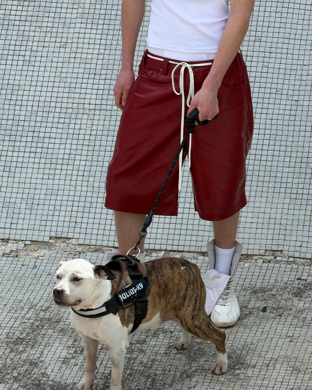 BRAVE SHORT BURGUNDY - Cold Culture