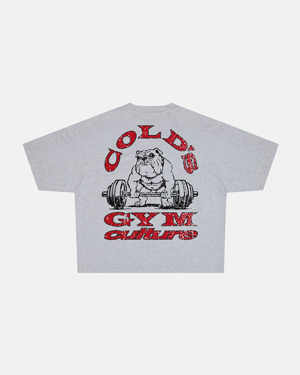 COLD´S GYM BOXY TEE GREY - Cold Culture