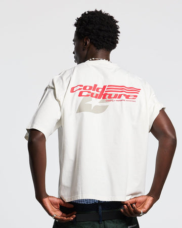 FEAST TEE WISPY CLOUDS GREY