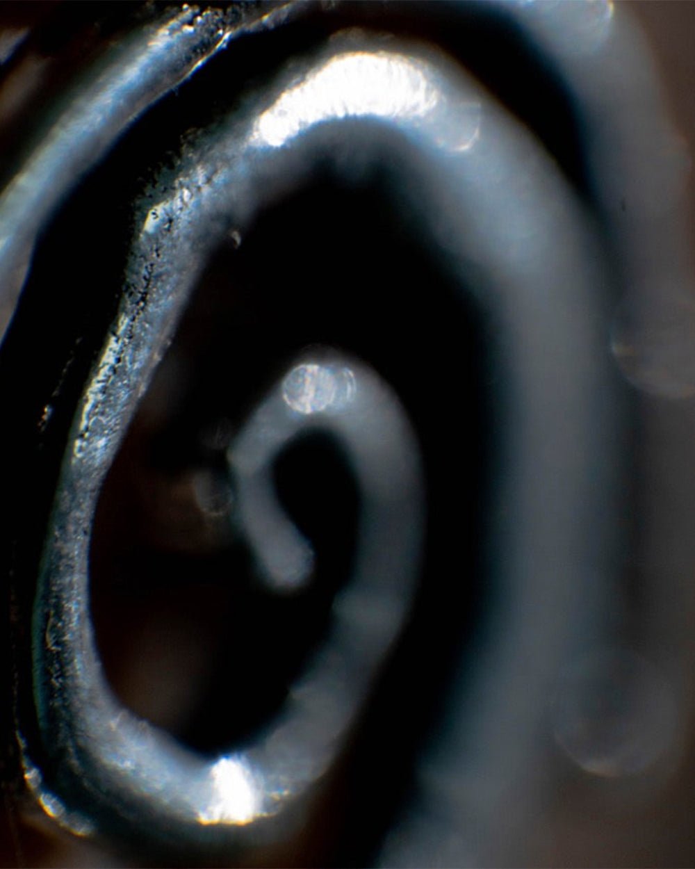 SPIRAL NECKLACE - COLD CULTURE