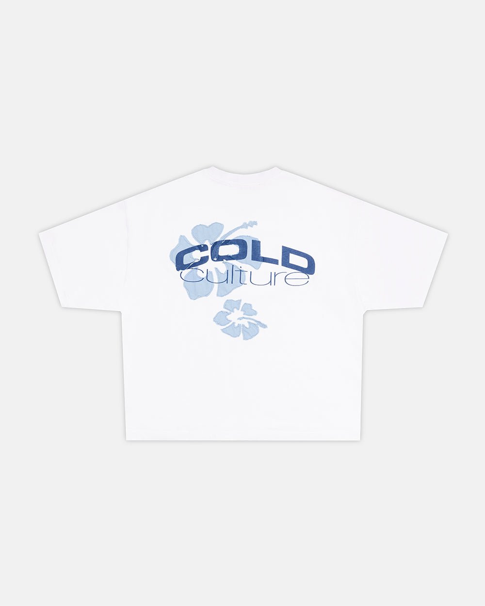 coldrain Freefall Tシャツ 白 XXL coldrain Freefall Tシャツ 白 XXL